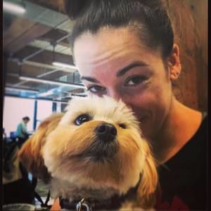 Meet your Posher, Jamie